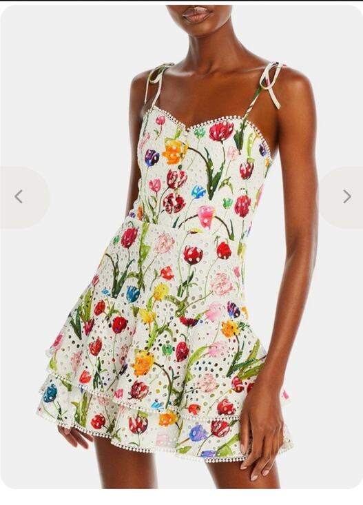 Alice + Olivia Dresses & Skirts - Alice + Olivia Rosette Eyelet Tulip Print Mini Dress size 6